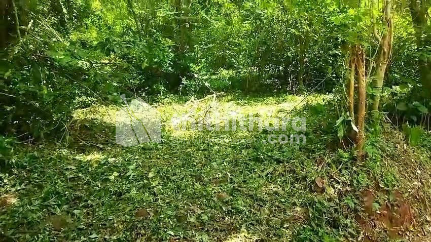 Residential Land available for Sale in Tarur Palakkad