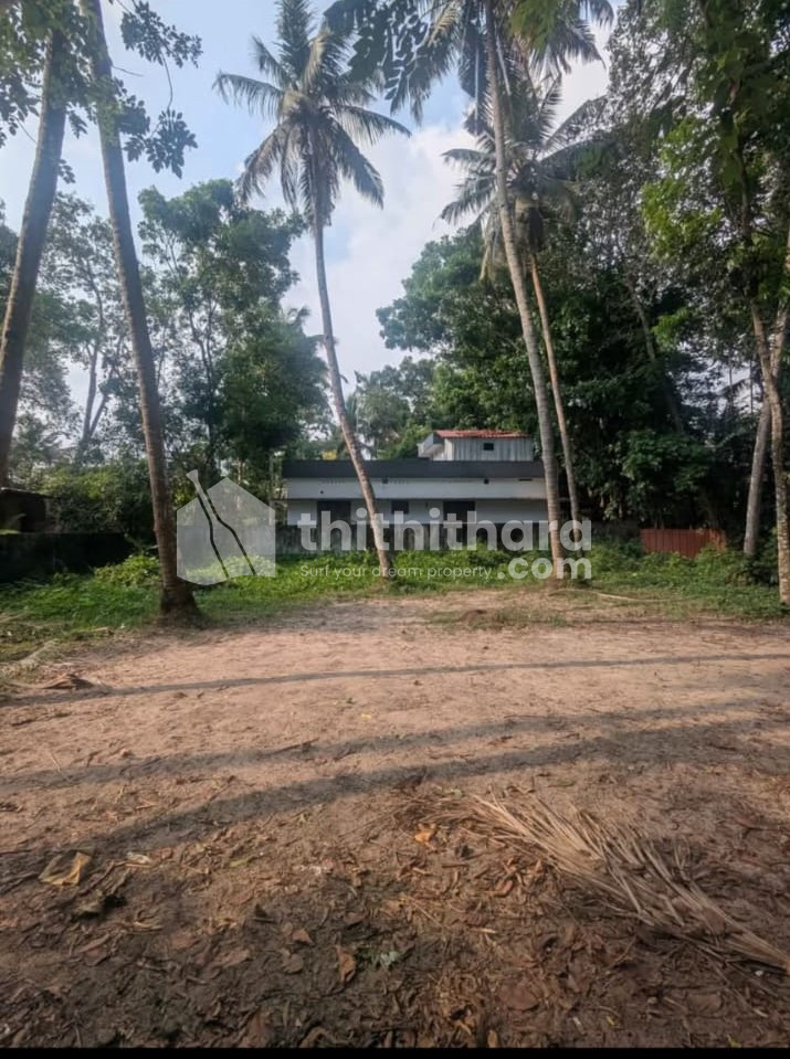 Residential Land available for Sale in Haripad  Alappuzha