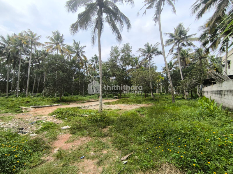 Residential Land available for Sale in Nedumangad Thiruvananthapuram