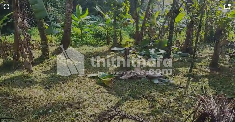 Residential Land available for Sale in Devikulam Idukki