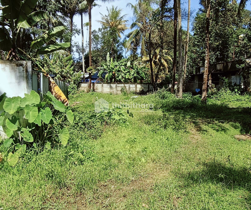 Residential Land available for Sale in Karunagappally Kollam