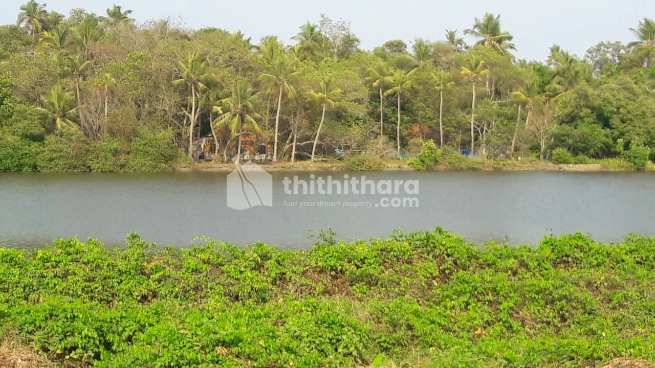 Land in Ernakulam for Sale