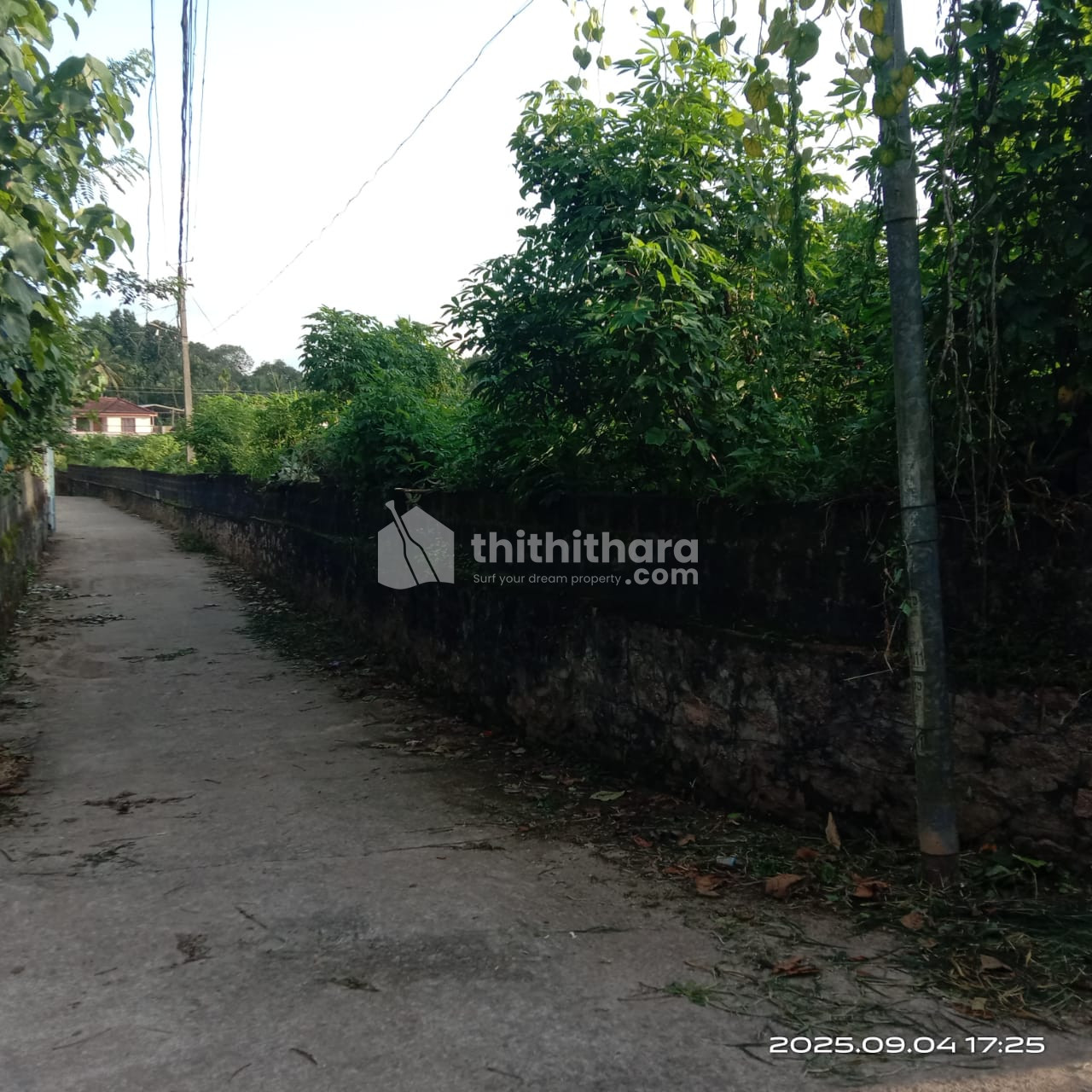 Residential Land available for Sale in Adoor Pathanamthitta