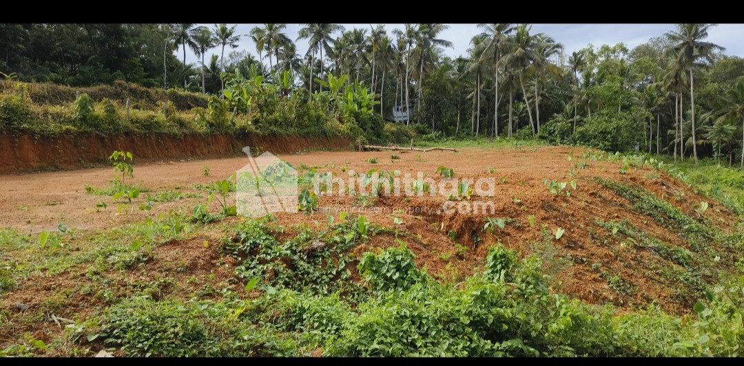 Residential Land For Sale In Balaramapuram Thiruvananthapuram