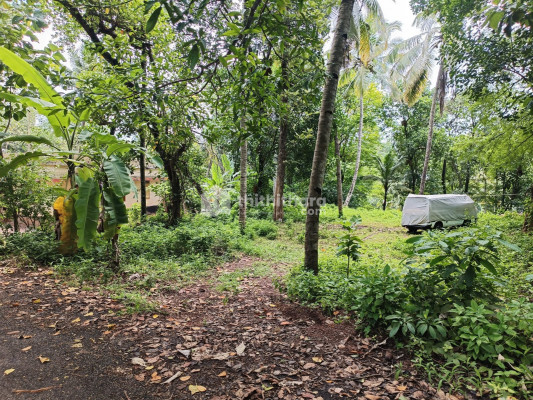10 cent plot for sale in kollam 
