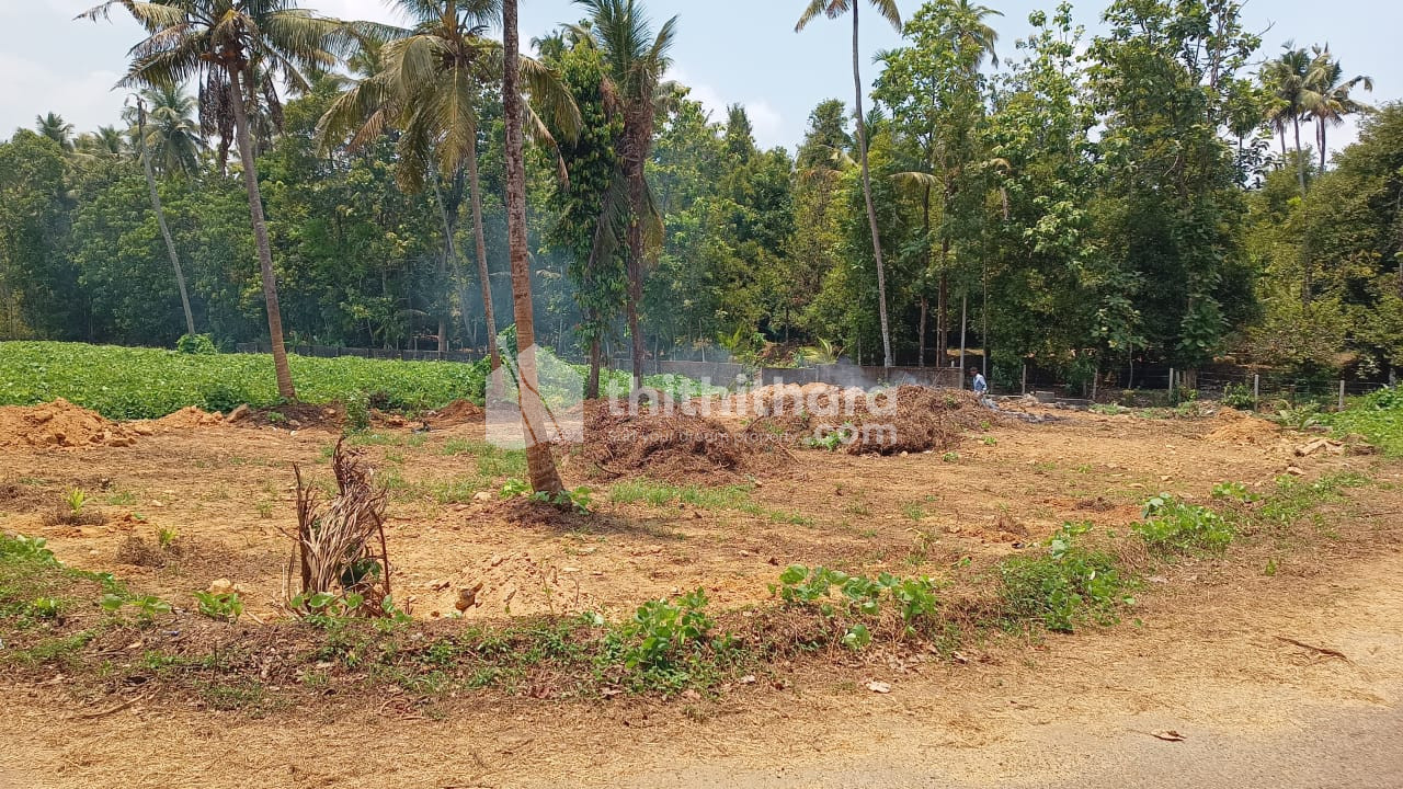 Residential Land available for Sale in Angamaly Ernakulam