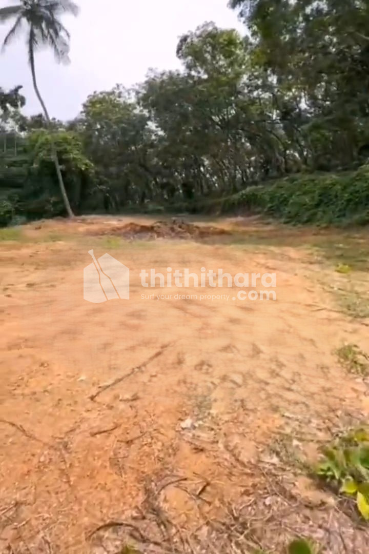 Residential Land available for Sale in Manjeri Malappuram