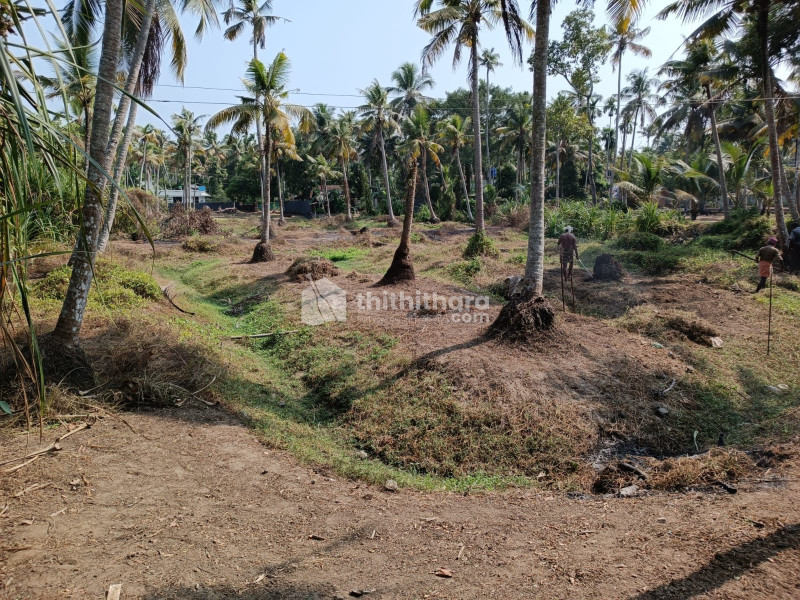 Residential Land available for Sale in Kaipamangalam Thrissur