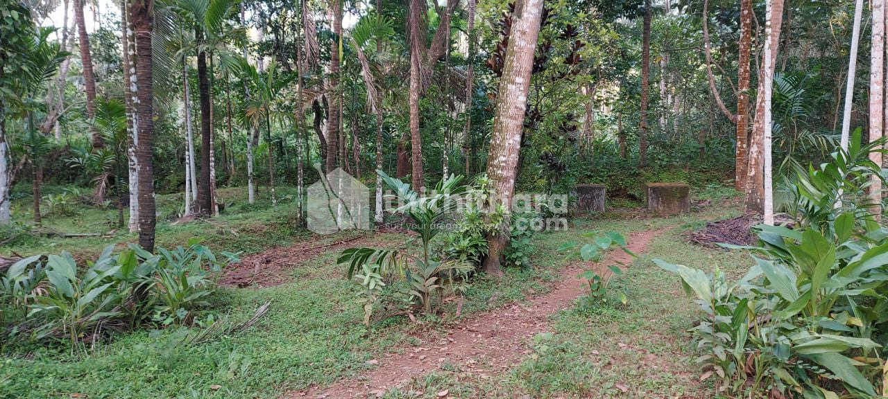Residential Land available for Sale in Perambra Kozhikode
