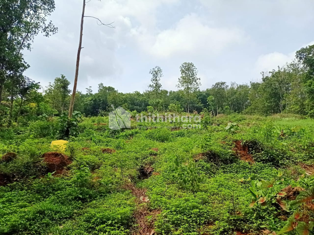 Residential Land available for Sale in Kottarakkara Kollam