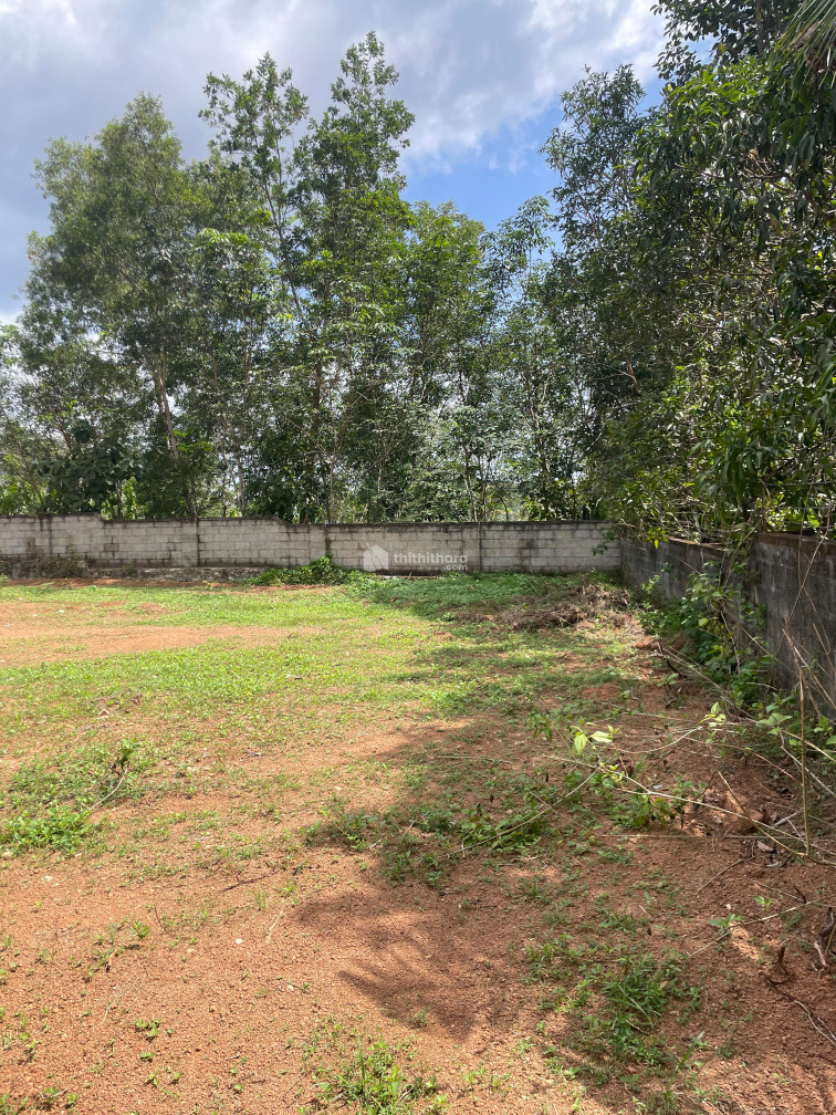 Commercial Plots available for Sale in Attingal Thiruvananthapuram