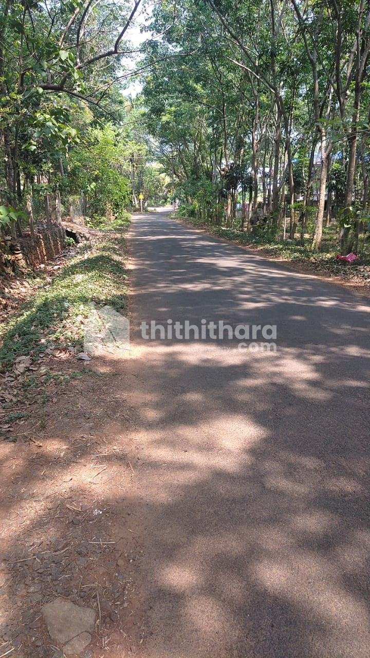 35 cent Land for Sale in Velliladi, Mananthavadi