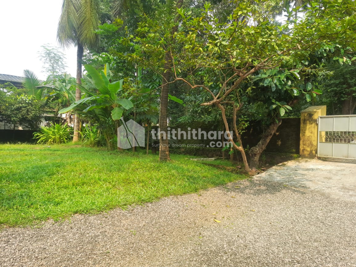 Commercial Plots available for Sale in Ollur Thrissur