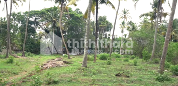 Commercial plot available for sale at Irinjalakuda Thrissur 