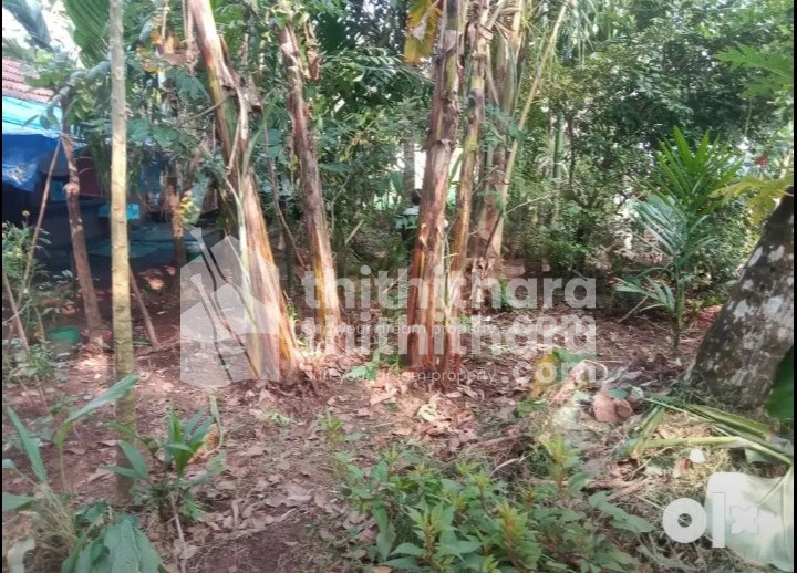 12 cent land for sale