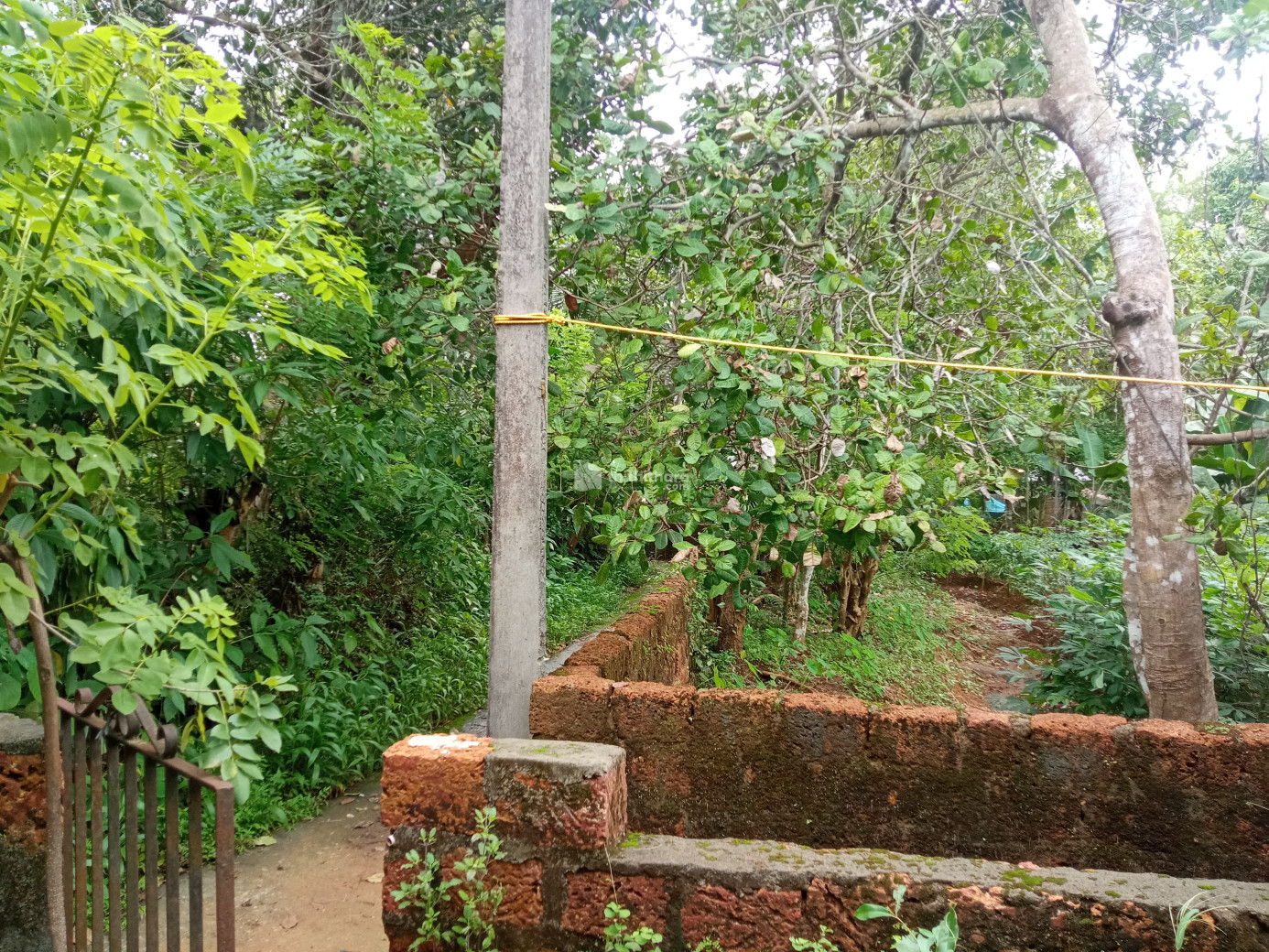 Residential Land Available for Sale in Valancheri Malappuram