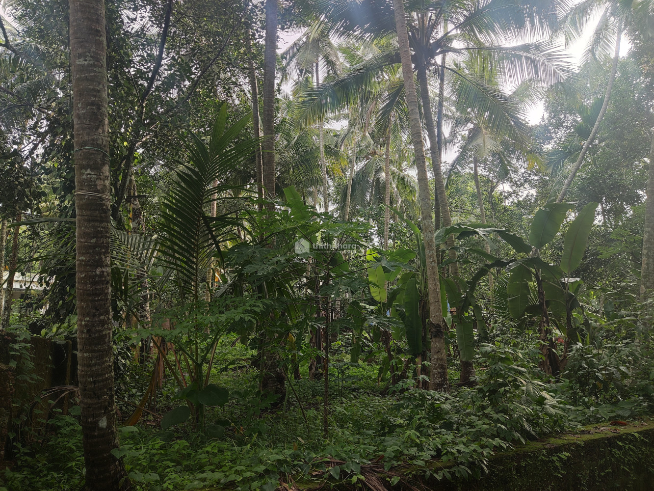 സ്ഥലം വിൽപ്പനക്ക്