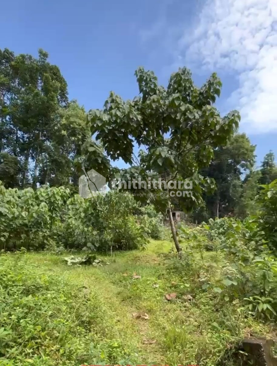 Commercial Plots available for Sale in Kattakkada Thiruvananthapuram