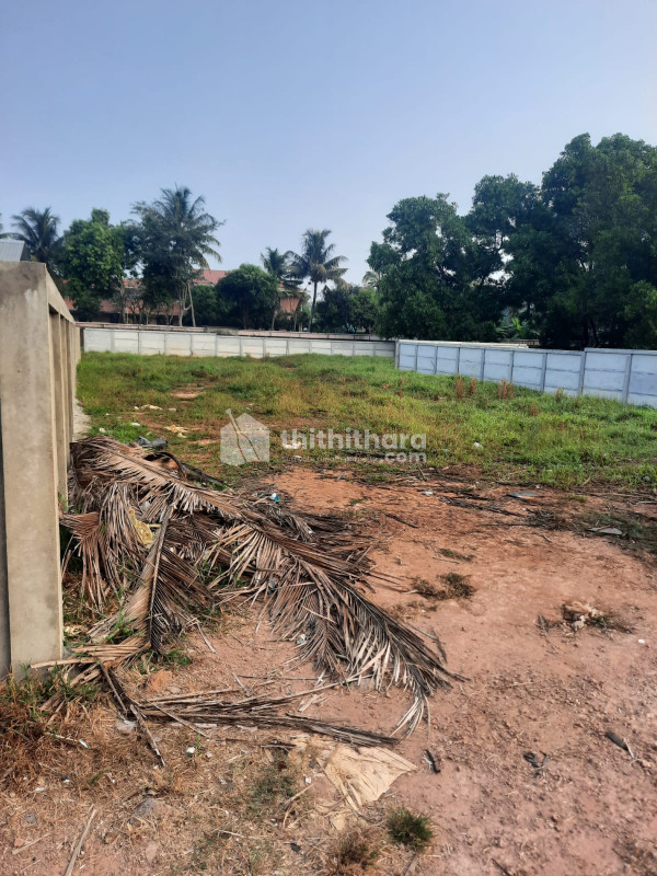 Residential Land available for Sale in Kochi Ernakulam