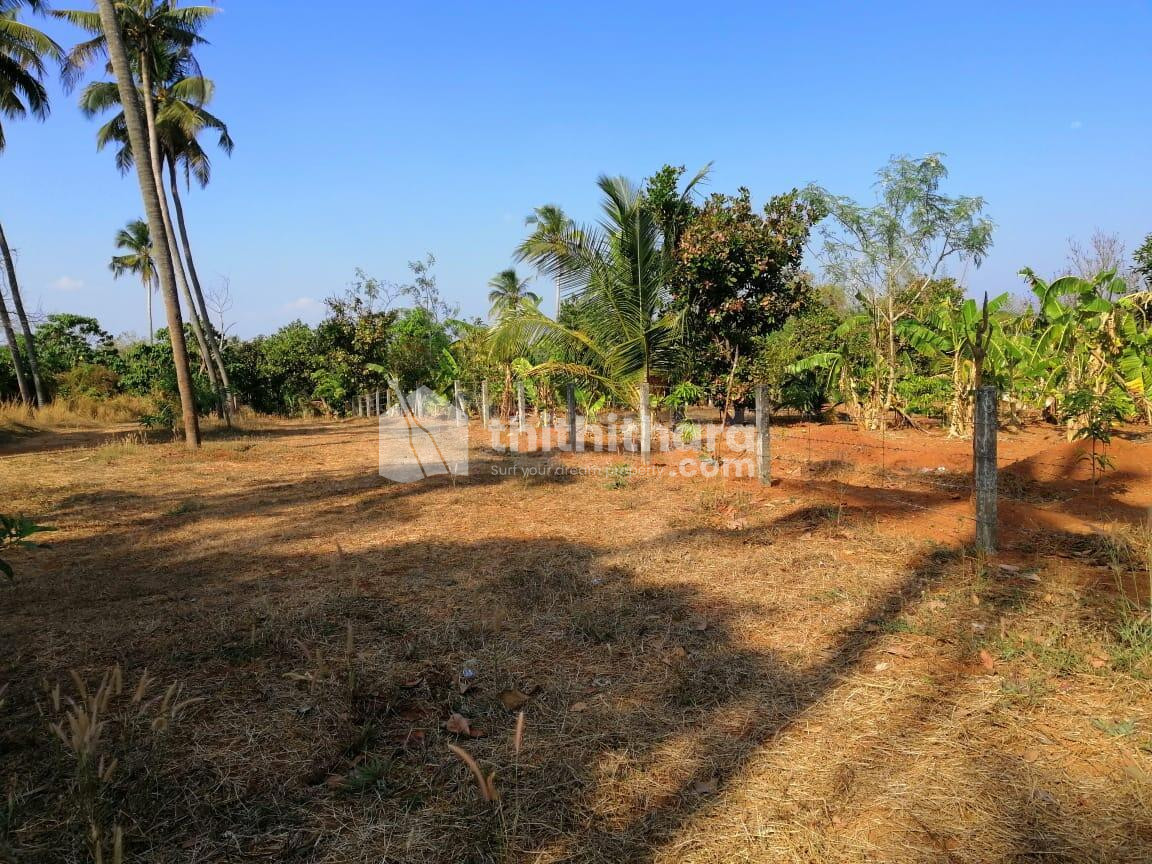 Commercial plot Available for sale at Thrissur 