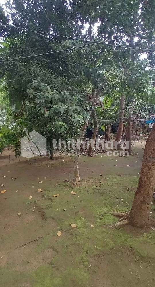 Residential Land available for Sale in Chalakudy Thrissur