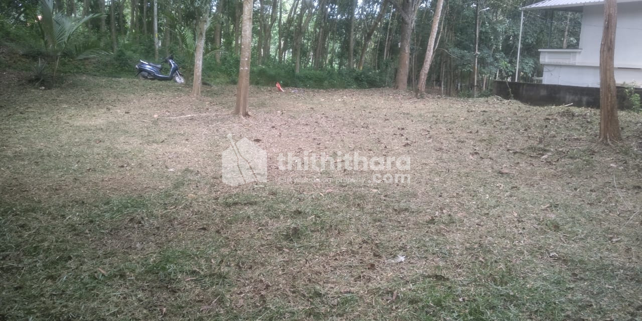 Residential Land available for Sale in Neyyattinkara Thiruvananthapuram
