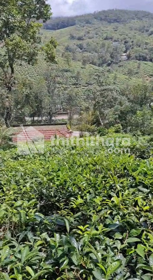 Residential Available for sale at Kumali Kottayam
