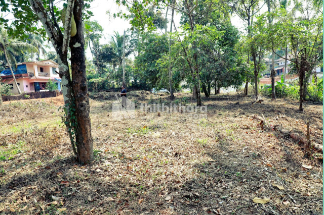 Residential Land Available For Sale at Thalssery Kannur