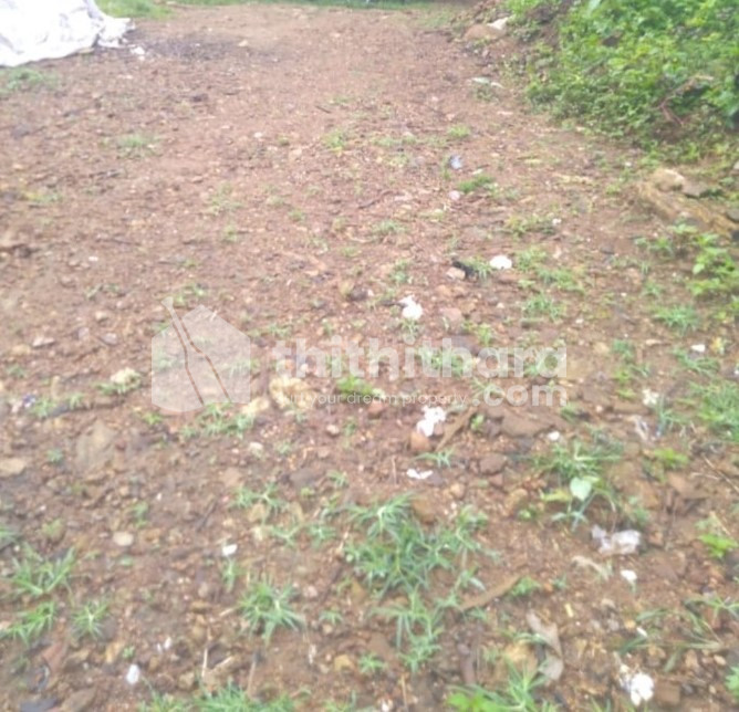 Plot for urgent sale 