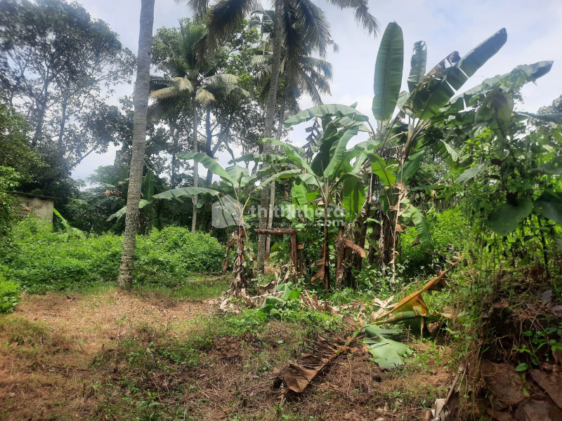 Residential Land Available for Sale in Thiruvalla Pathanamthitta