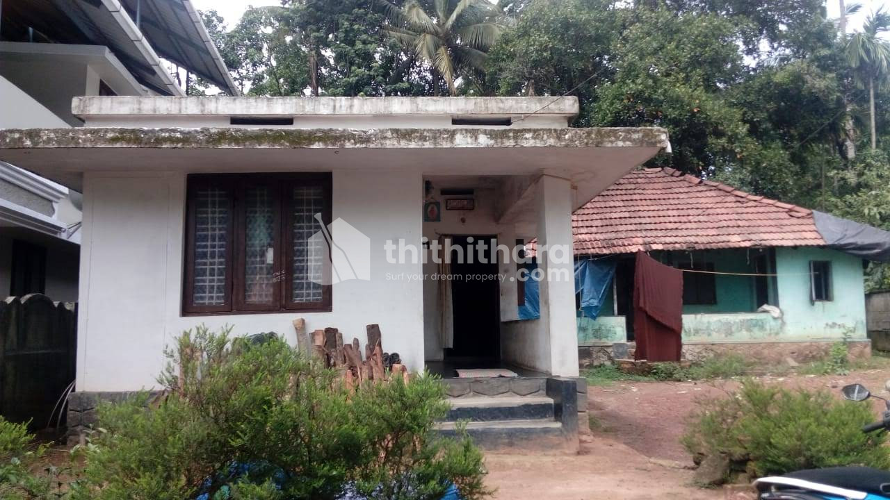 Residential Land available for Sale in Nedupuzha Thrissur 