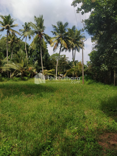 Residential Land Available for sale at Kayamkulam Alapuzha 