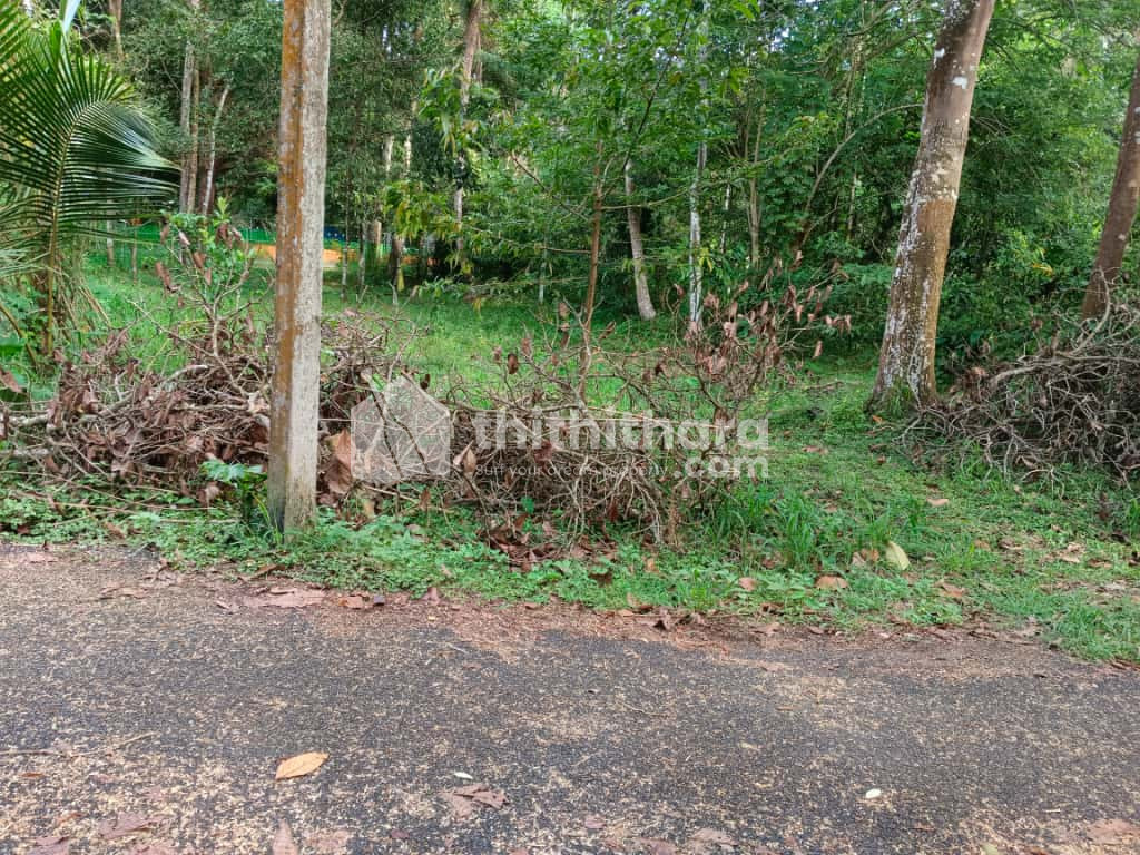 Commercial Plots Available for Sale in Alappuzha 