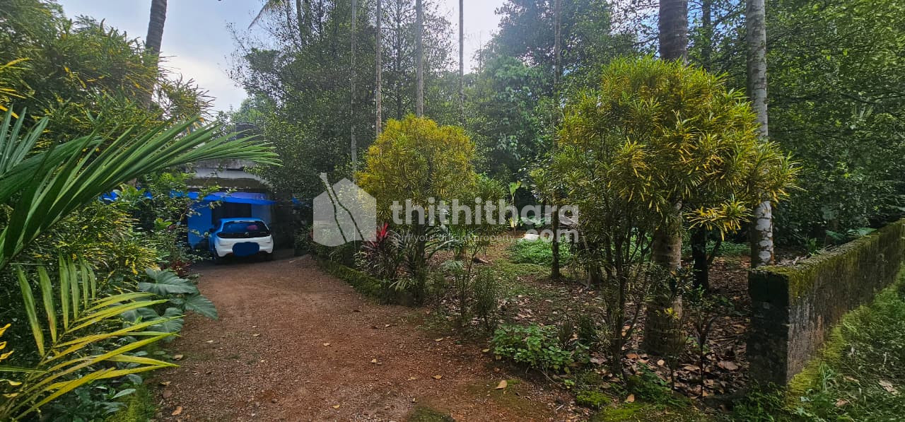 Residential Land available for Sale in Angamaly Ernakulam