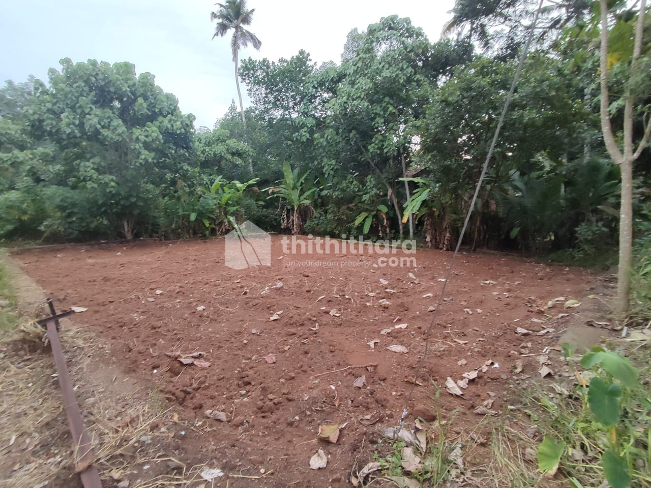 Residential Land available for Sale in Chottanikkara Ernakulam