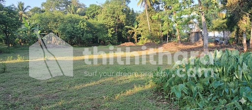 Residential Land Available for sale at Thumpoly  Alapuzha