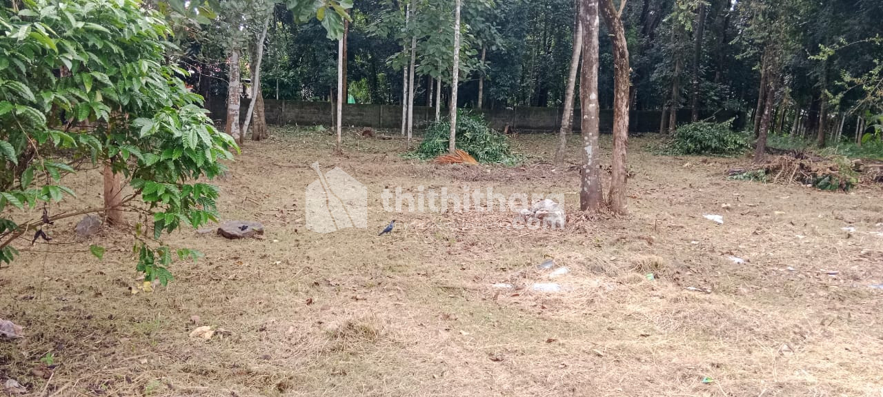 Residential Land available for Sale in Perumbavoor Ernakulam