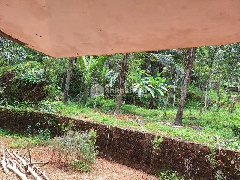 Residential Land available for Sale in Kottakkal Malappuram