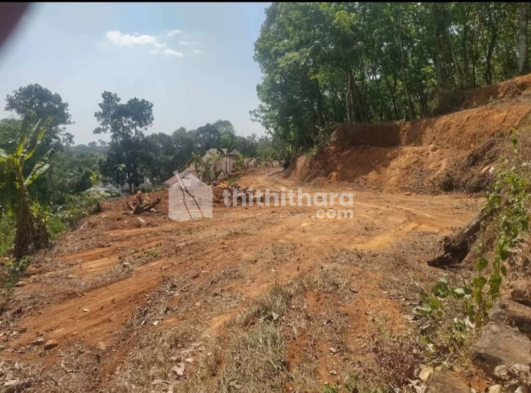 Residential Land available for Sale in Meenachil Kottayam