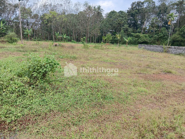 Residential Land available for Sale in Kothamangalam Ernakulam