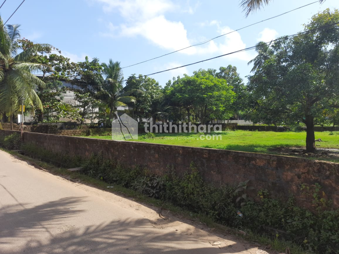 30 Cent Commercial Plot for Sale