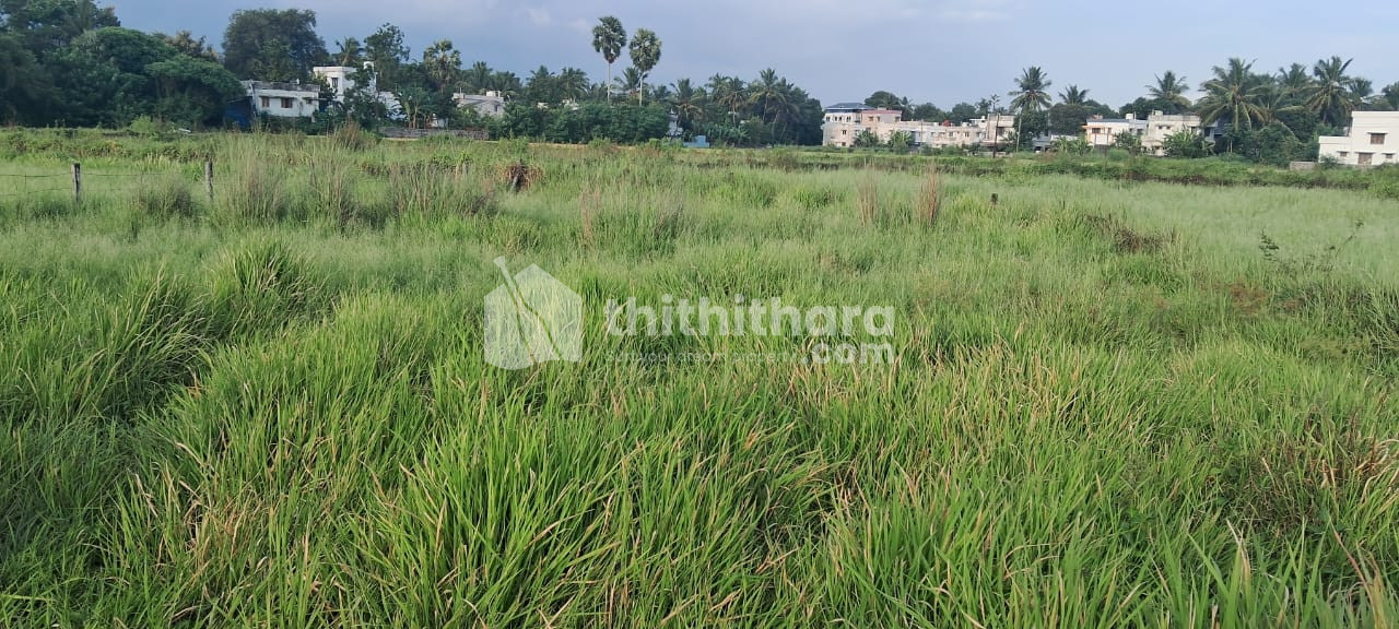 Residential Land Available for sale at Kannadi Palakkad 