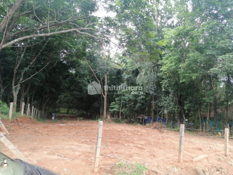 Commercial Plot Available For sale in Mundur Palakkad 