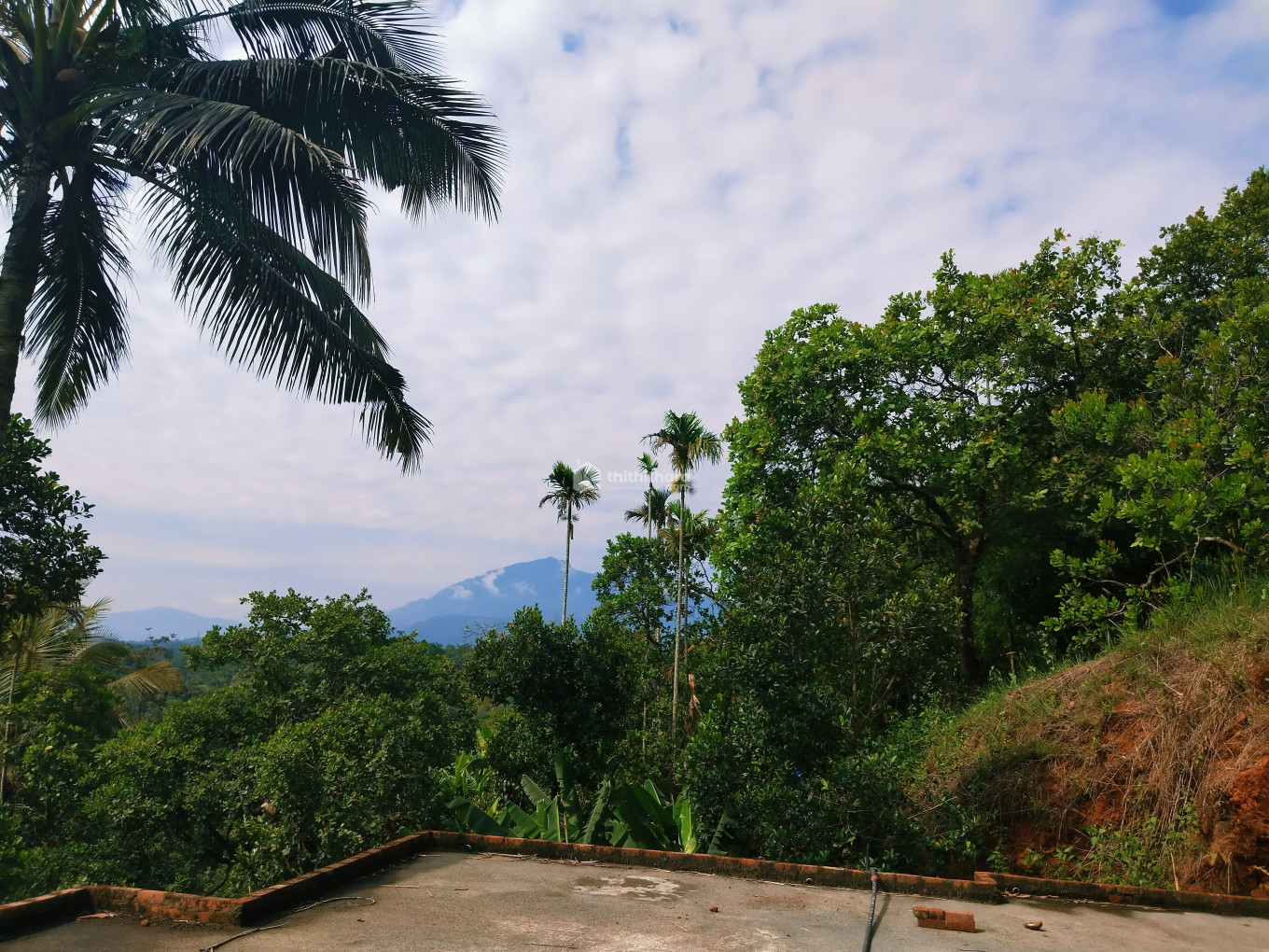 House and land for sale at Mananthvadi