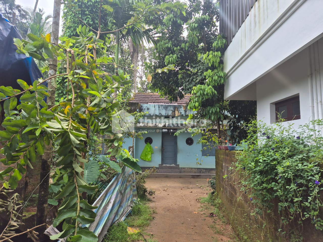 3BHK Independent House Available for Sale in Paravur Ernakulam
