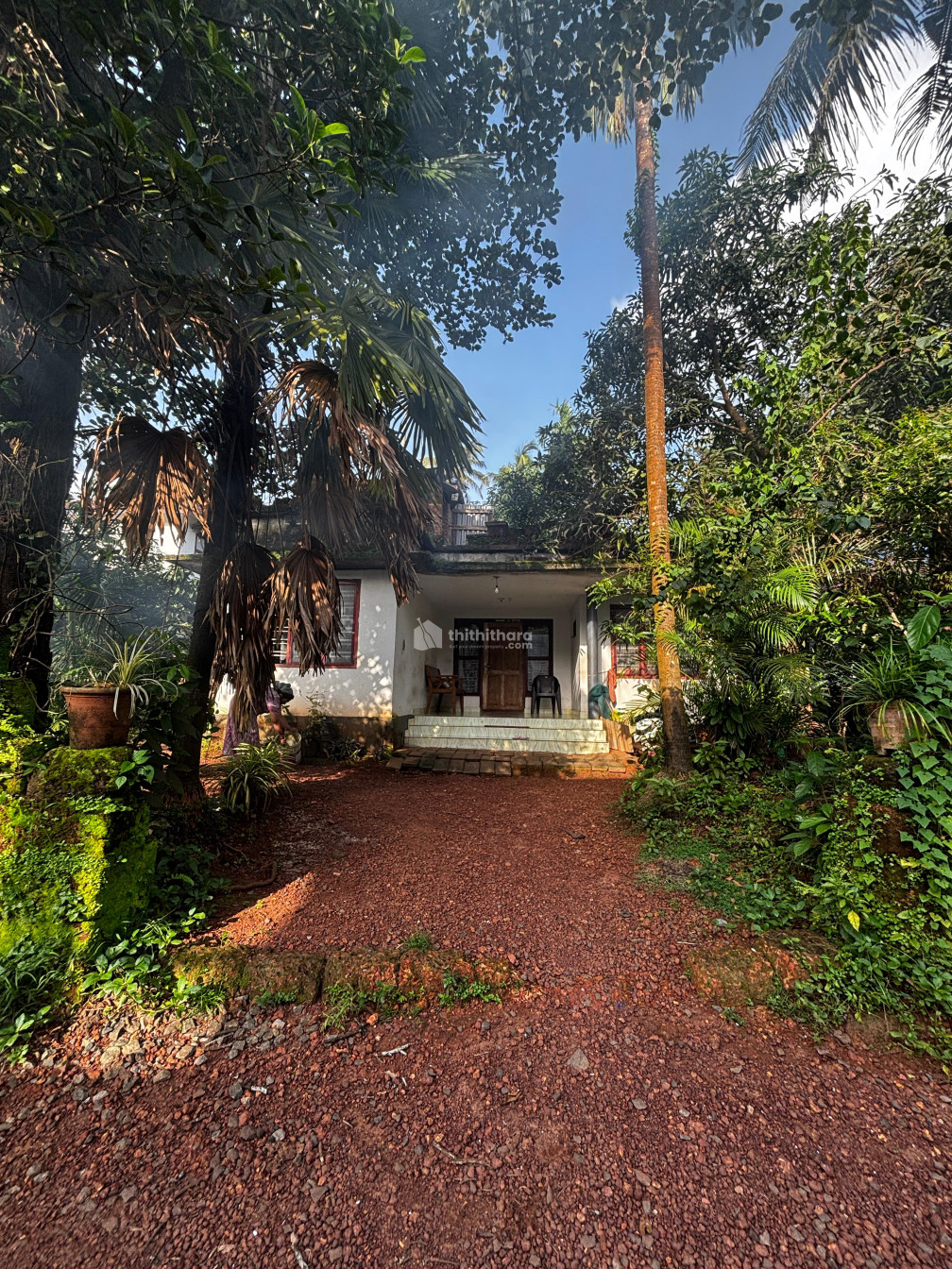 Residential Land available for Sale in Kuruva Kannur
