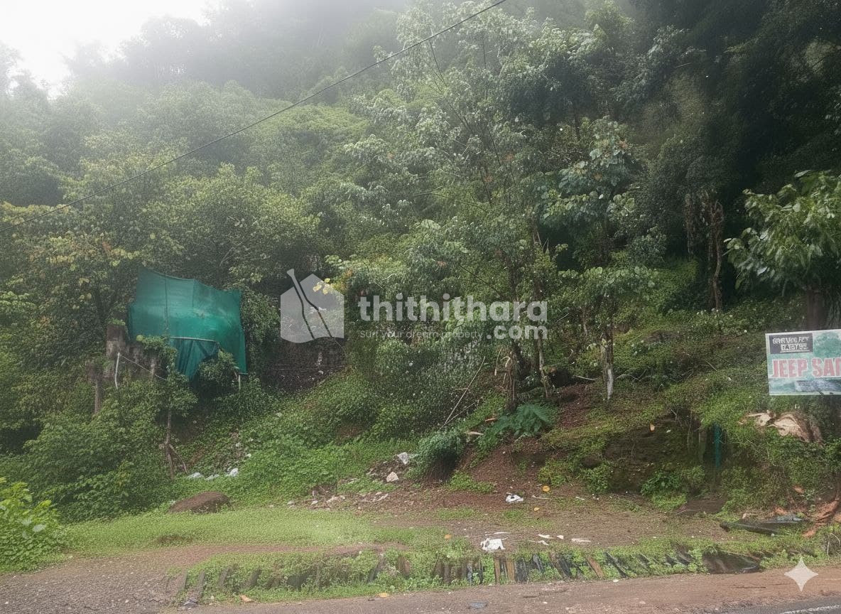 Commercial Plots Available for sale at Anachaal Idukki 