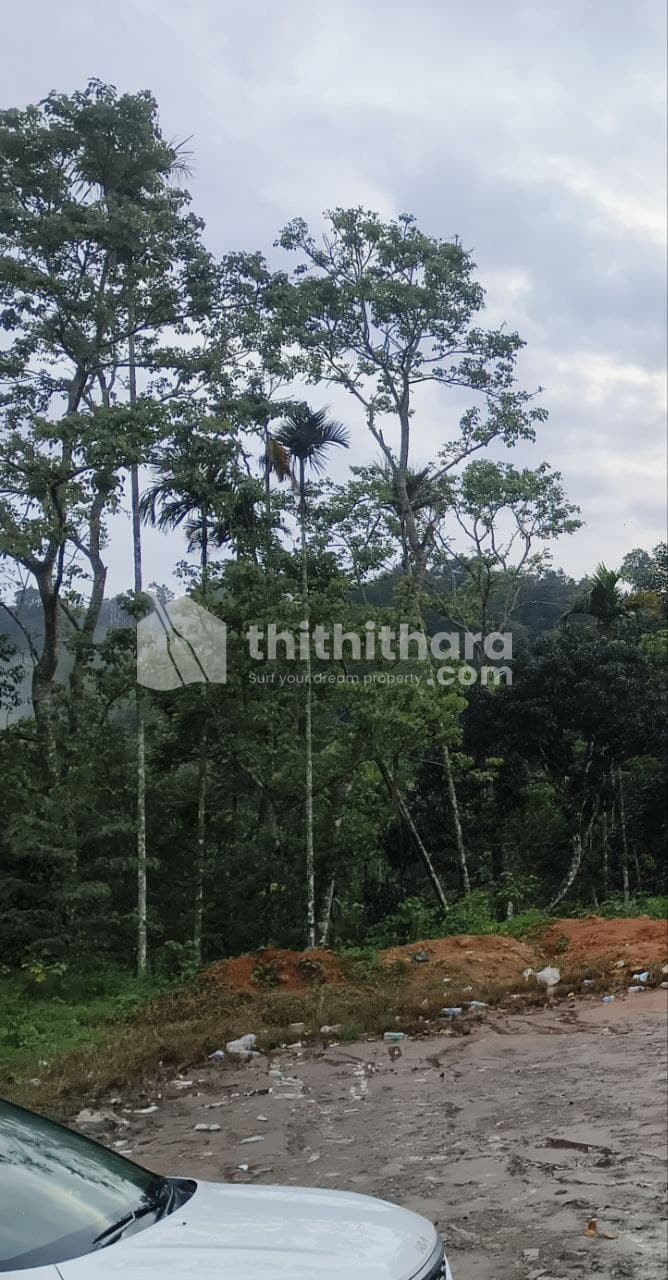 Commercial Plots Available for sale at Devikulam Idukki 