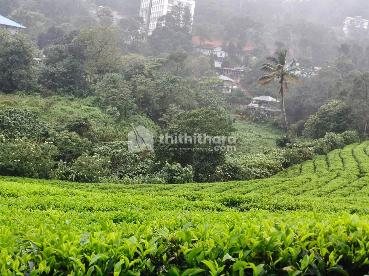 Commercial Plots Available for sale at Devikulam Idukki