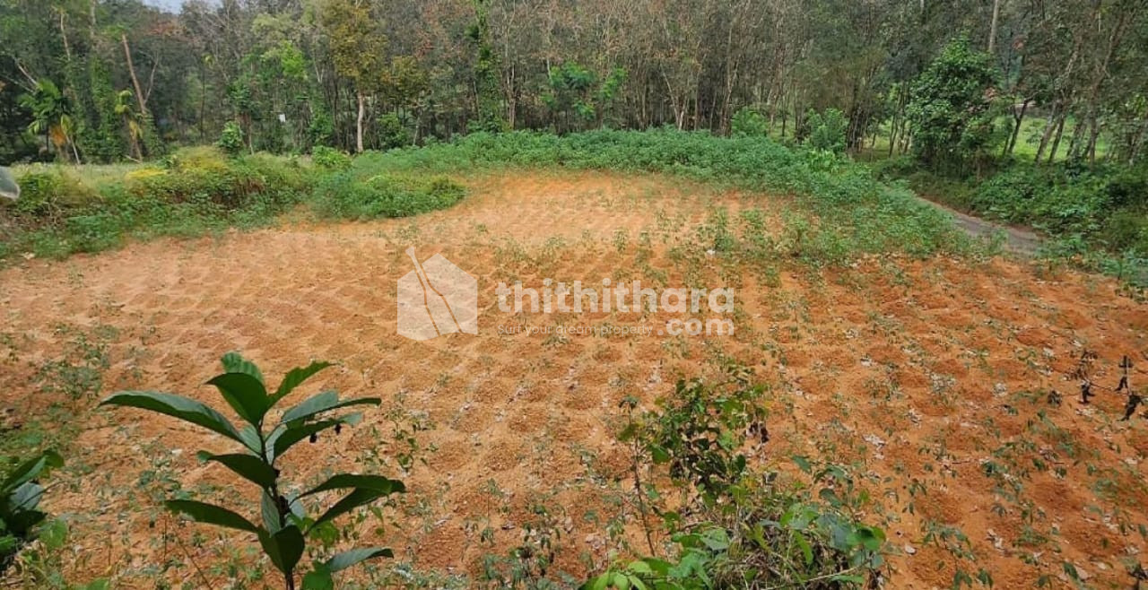 Residential Land available for Sale in Meenachil Kottayam